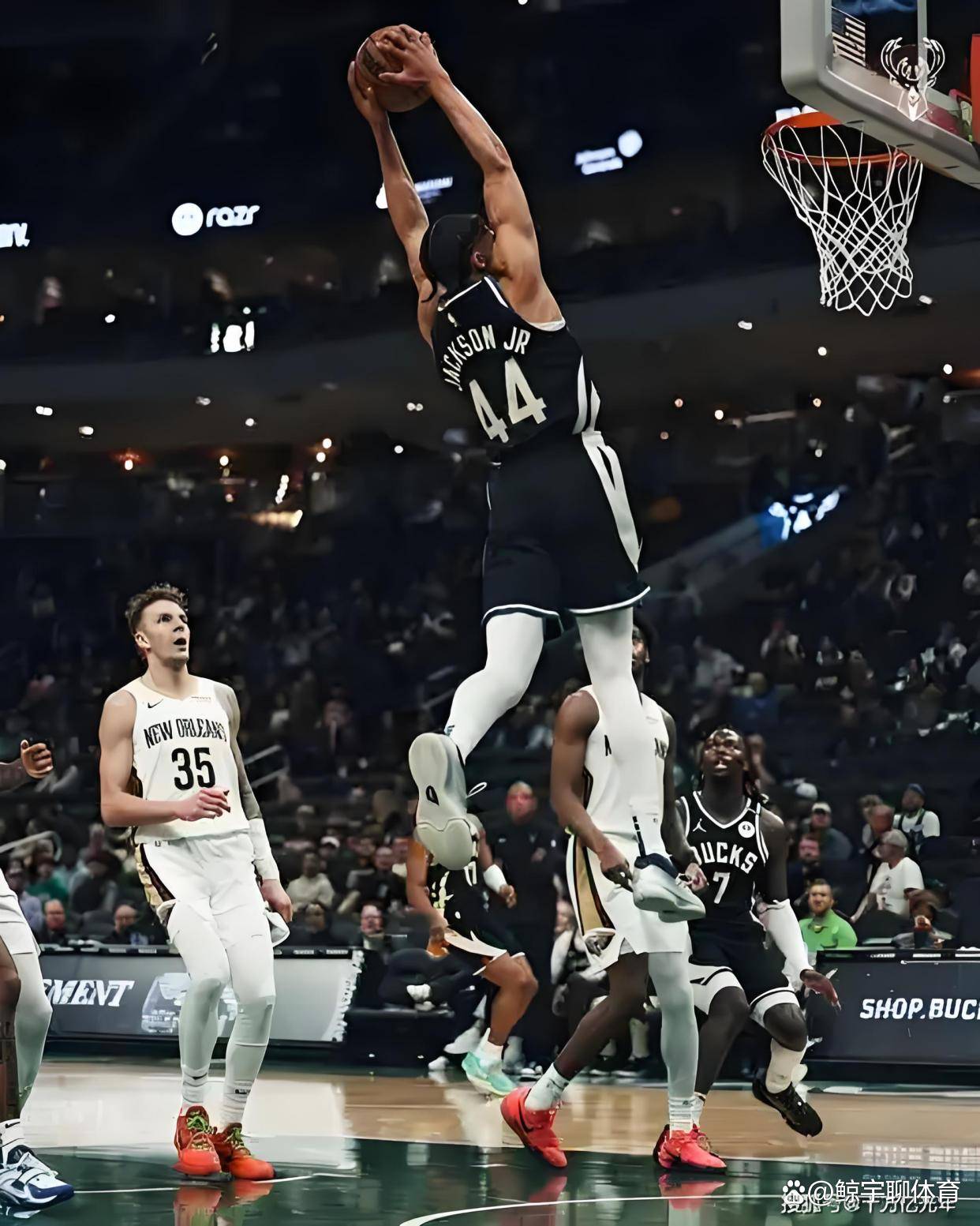 雄鹿胜鹈鹕锁定季后赛资格，字母哥全场高效