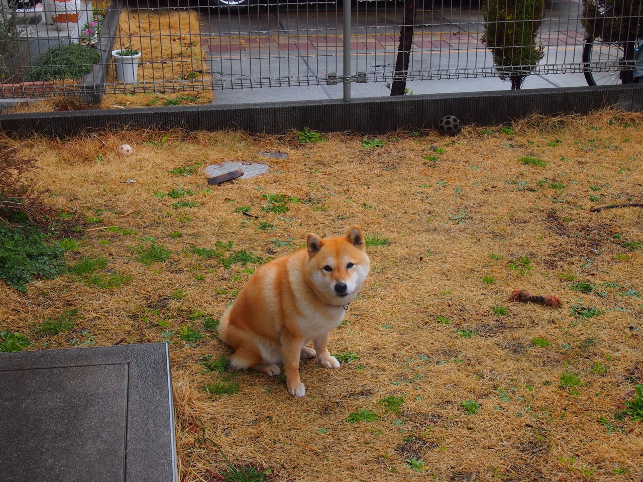 夜战,穆勒关键制胜背后的国家体育机器与个人命运