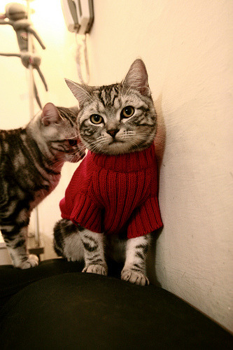 当红黑条纹遇见彩虹国度,三笘薰的魔法撕裂南非防线