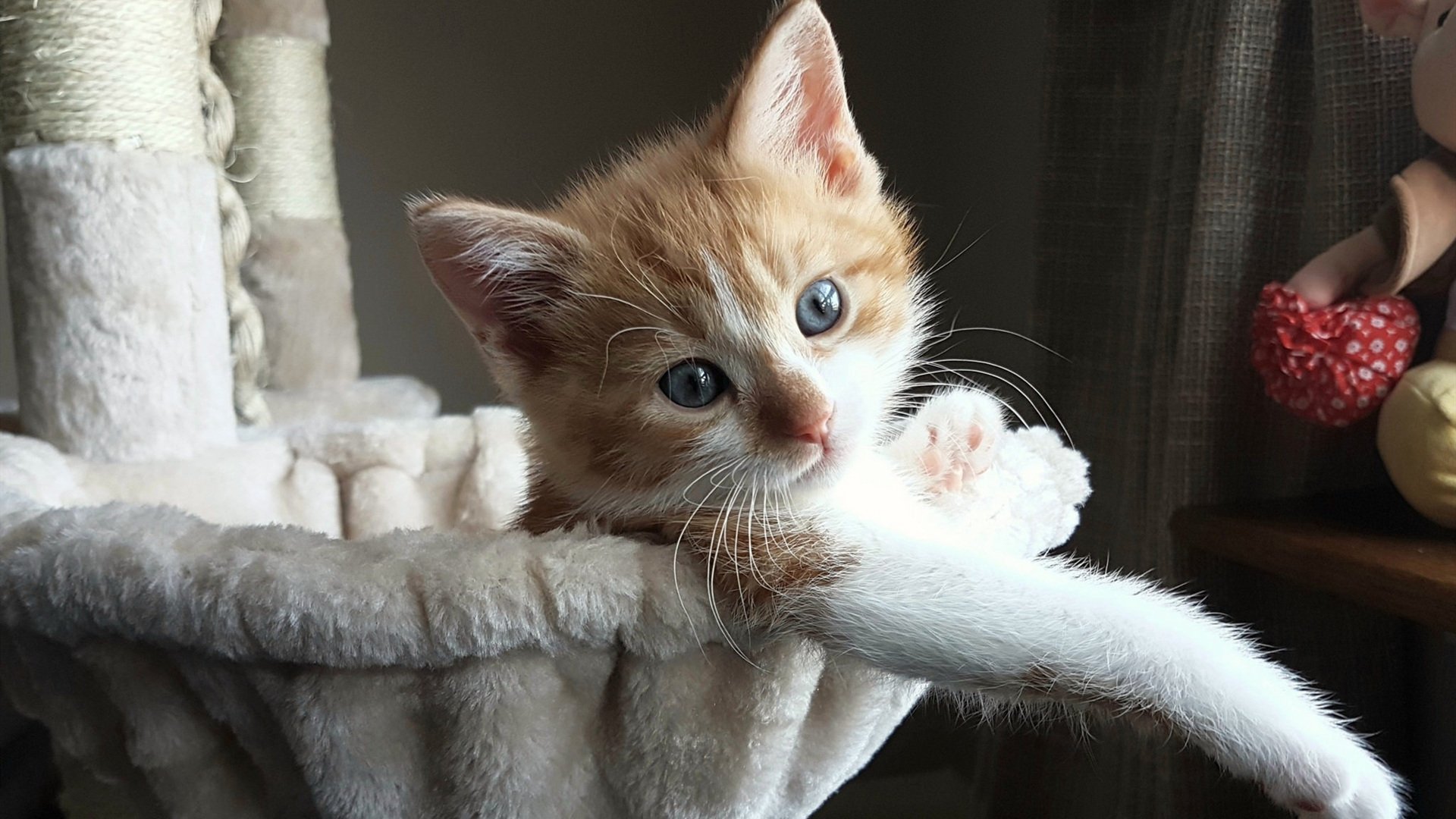 基米希闪电破门定基调，威尔士压哨逆转国际米兰