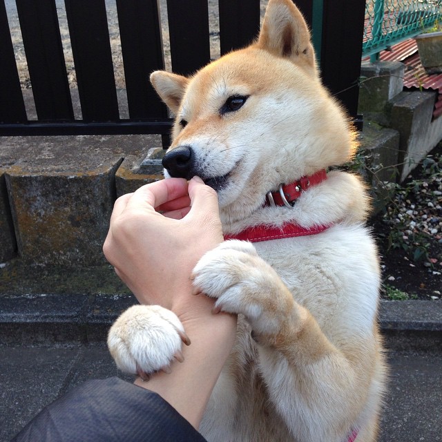 孙兴慜跨界领衔,一场虚构对决如何折射足球世界的真实渴望?