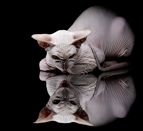 白衣铁蹄踏破德意志防线，伊萨克一剑封喉背后的战术革命