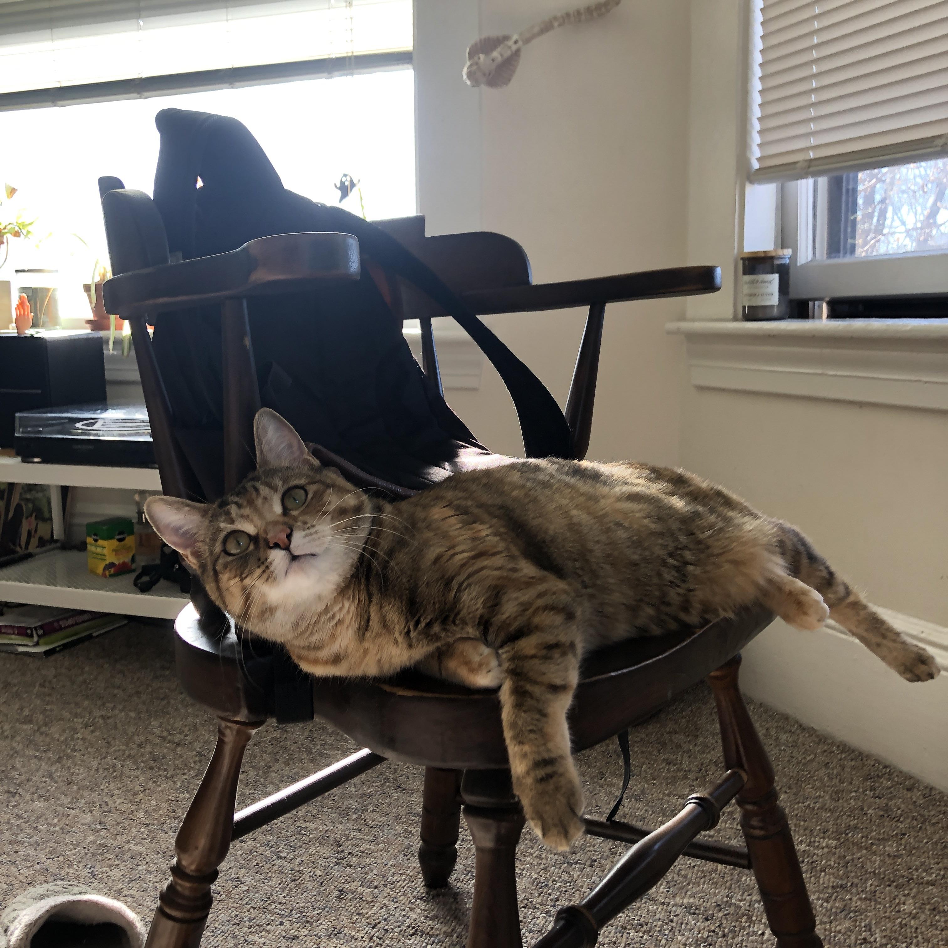 锋刃与风暴，拉梅洛的手术刀如何肢解魔术，独行侠的进化论再添关键注脚