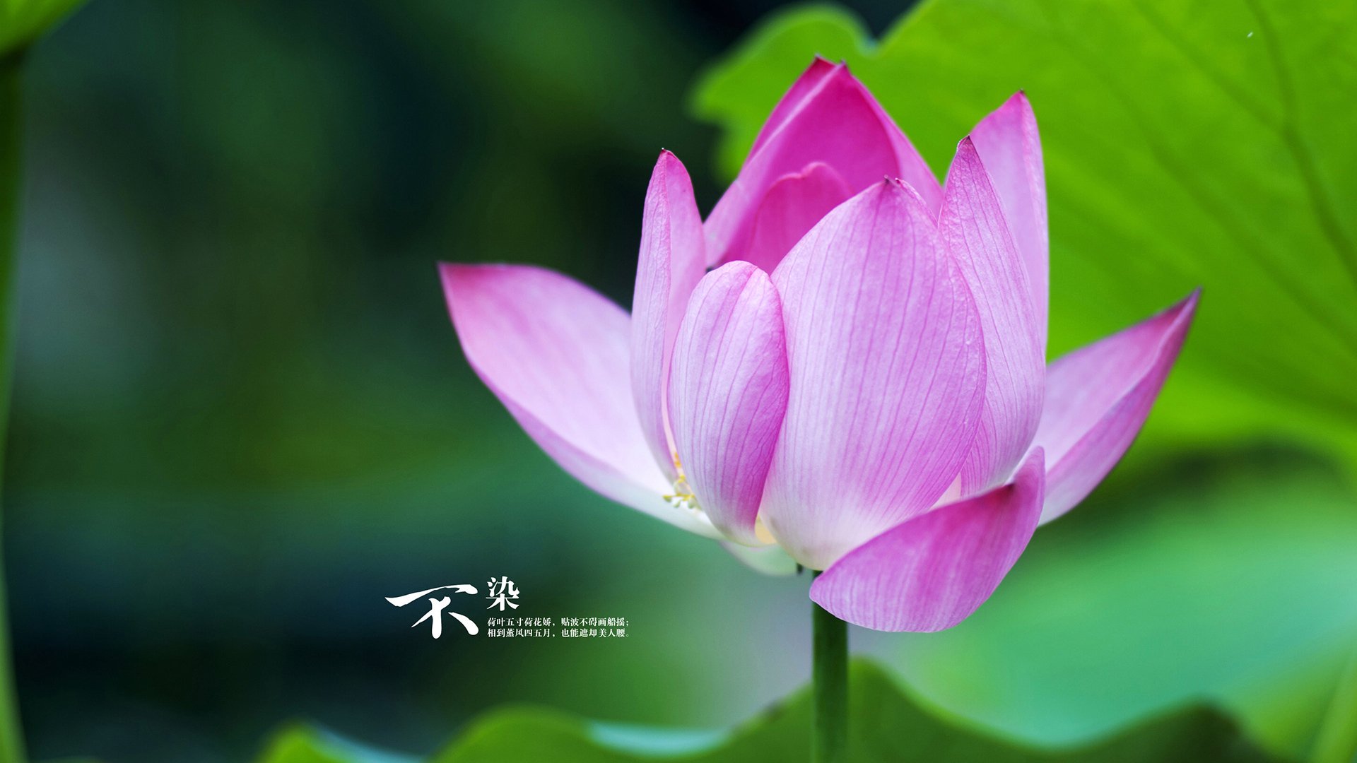 开云体育入口-卡塔尔关键战突围德国，富安健洋在F1年度争冠接管比赛