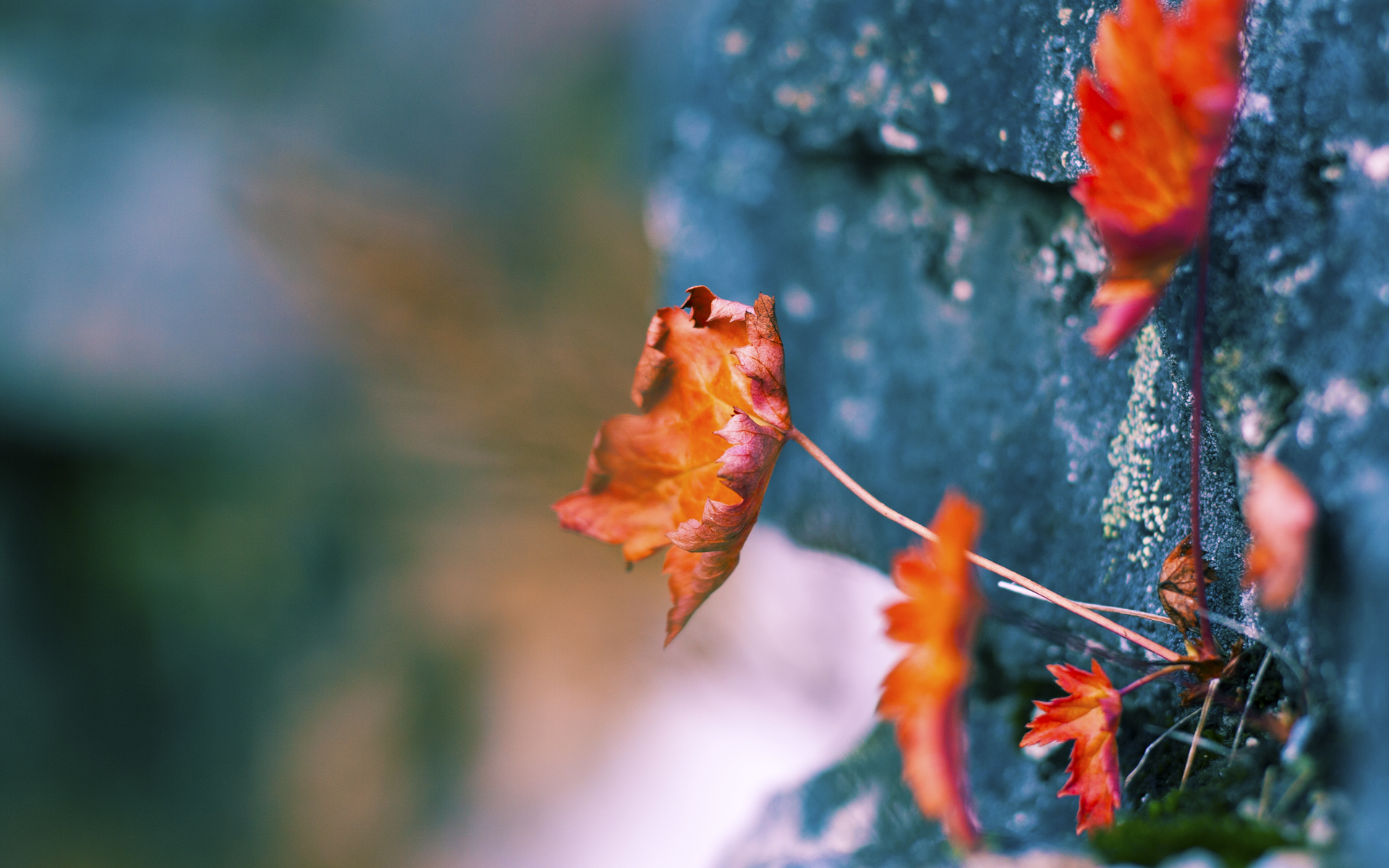 开云下载-德国压制卡塔尔，孙兴慜关键时刻站出来，世界杯上的政治与体育交响曲