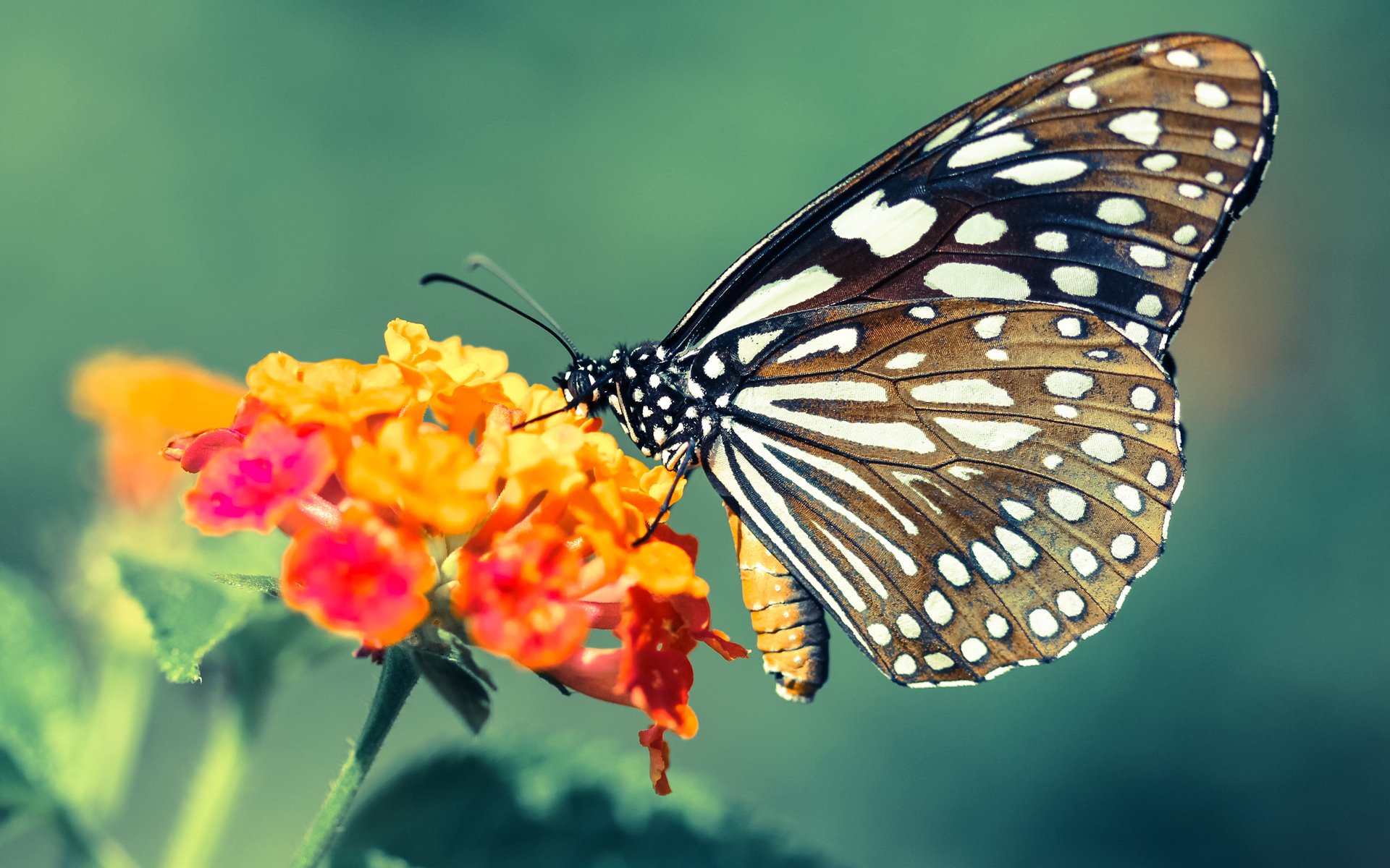生死七分钟！保罗末节核爆防线，独行侠史诗逆转暗藏致命杀招