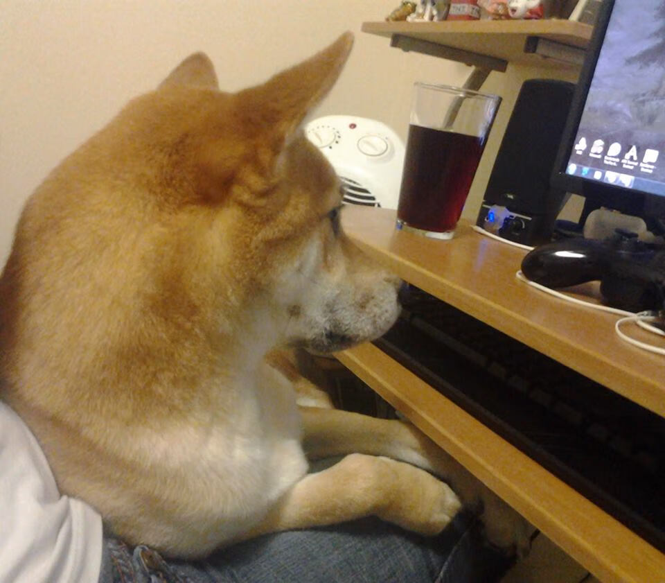 开云体育APP下载-无声战场上的中流砥柱，当乌拉圭的坚韧遭遇芬兰的冷静，布雷默告诉我们何为稳定输出