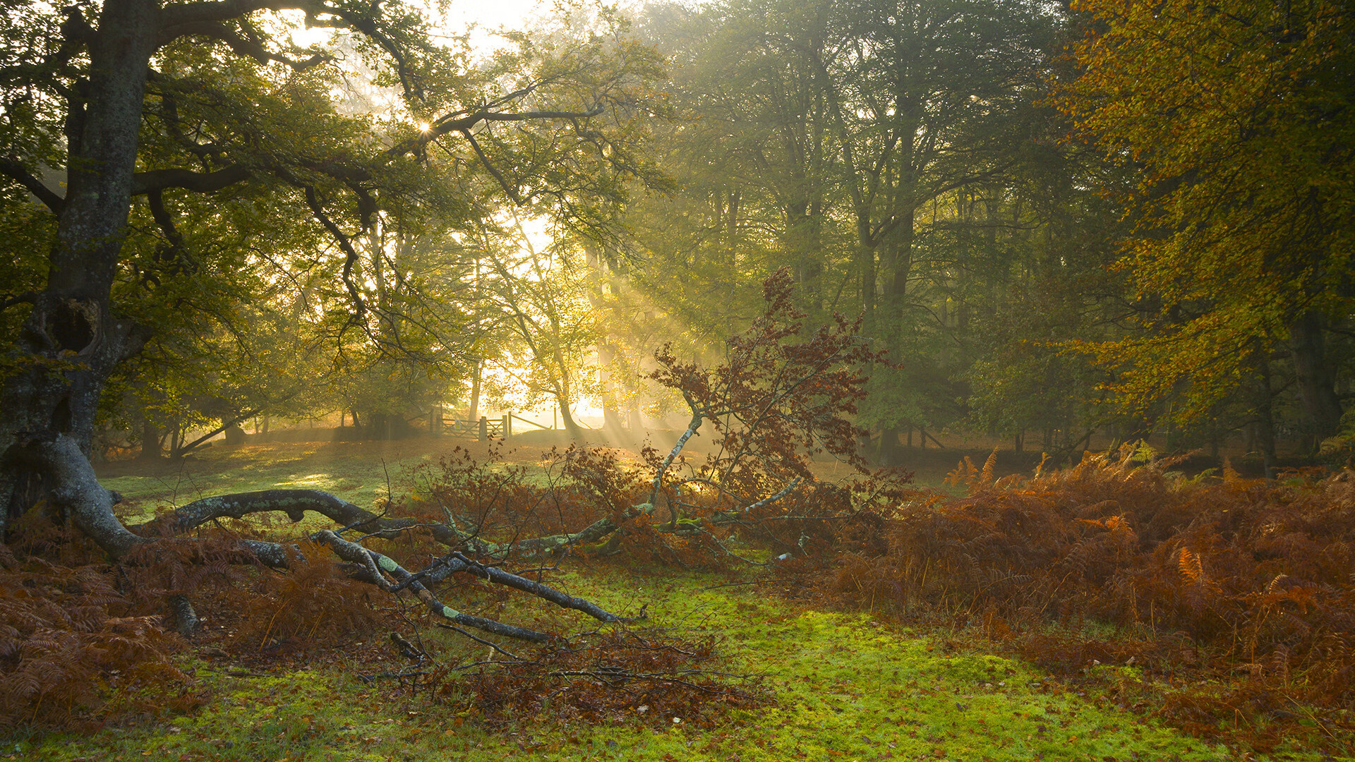 开云体育登录-吉林队强势击溃广东队，浓眉化身关键先生主宰赛场