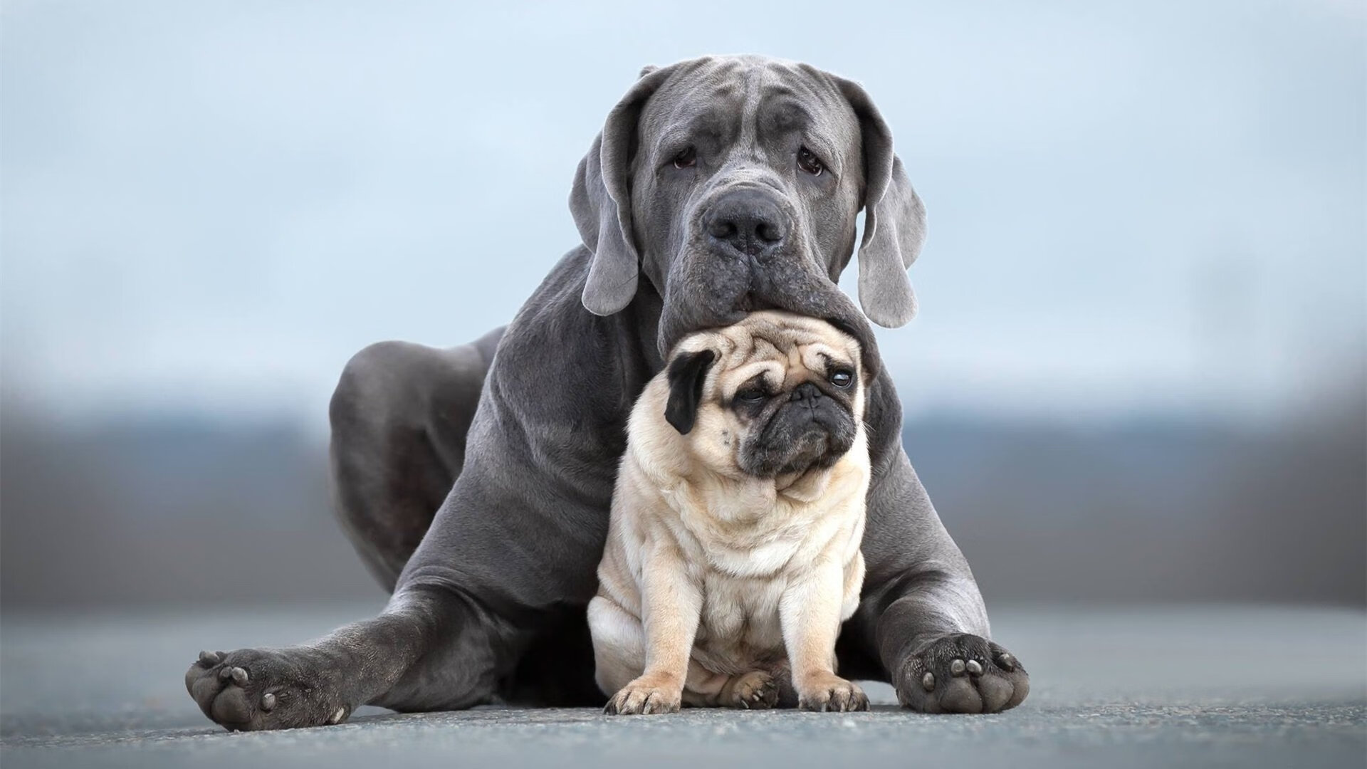 开云APP-绿茵颠覆与赛道革命，当规则重写者同时登场