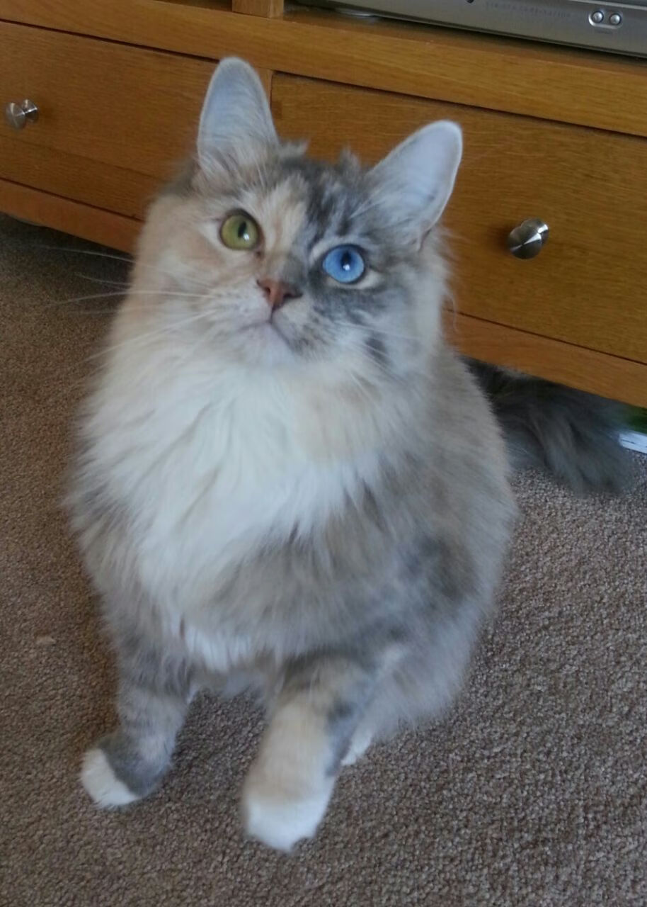 开云体育入口-拉文表现诠释完美进攻，北京硬仗决胜展露冠军相