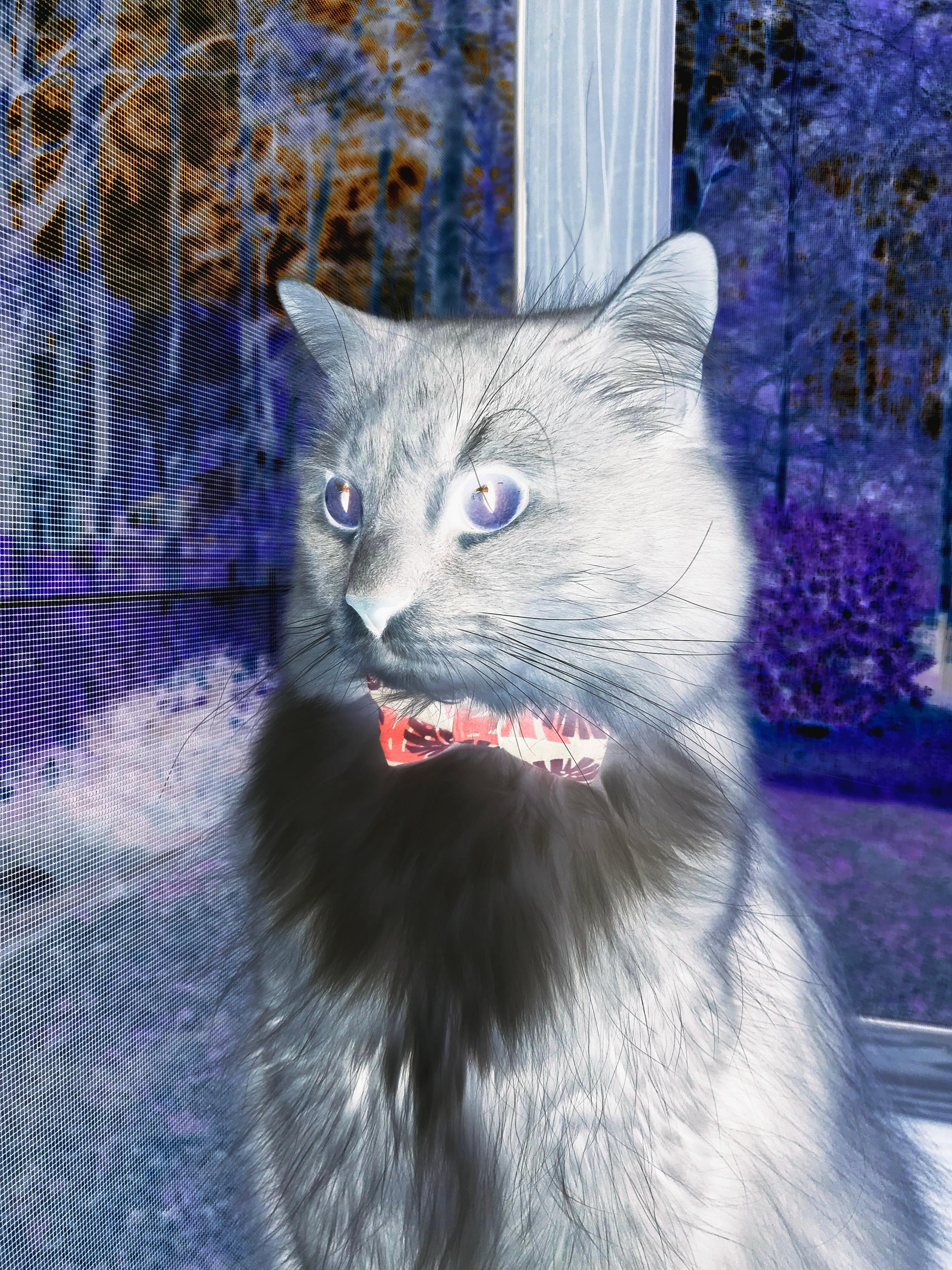 东方决战，北欧冷锋击穿沙漠壁垒