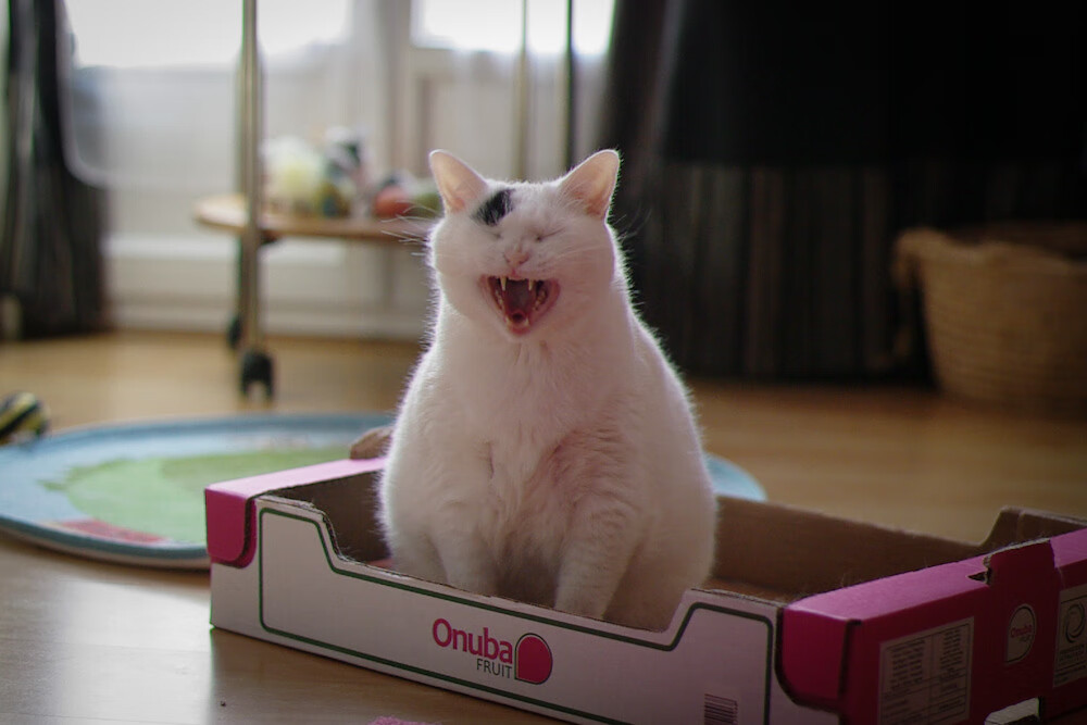 马克西爆发助浙江队强势拿下新疆队