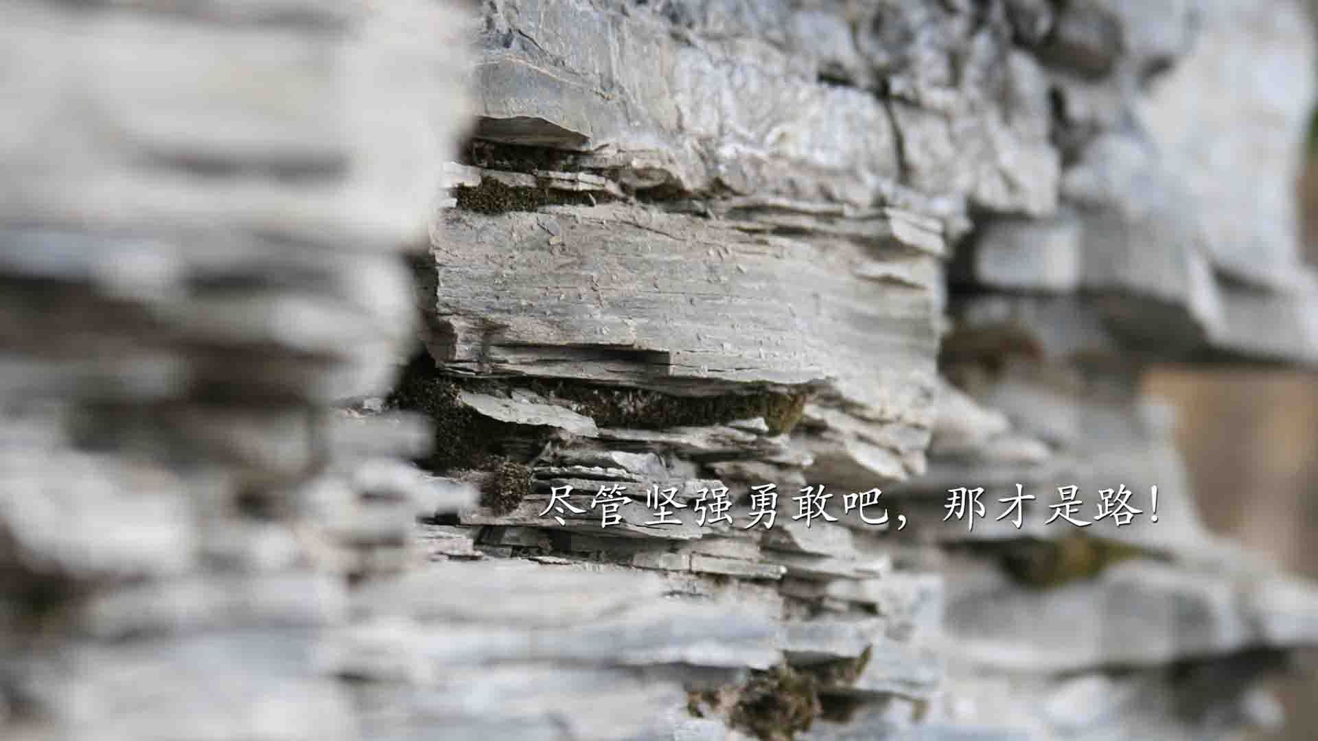 开云下载-乔治如入无人之境，尼克斯防线在他面前形同虚设