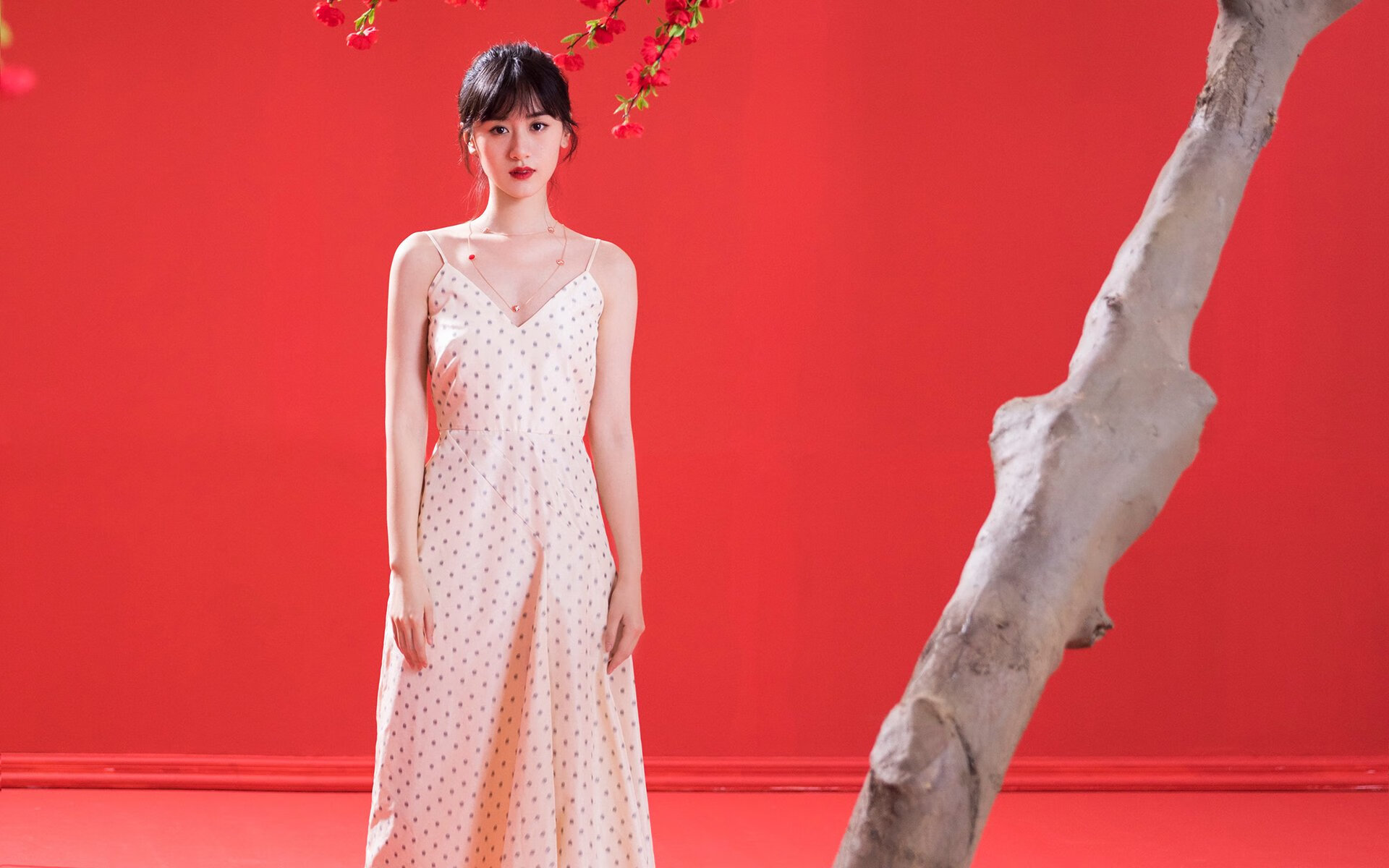 小国杀手的陨落与重生，日本用手术刀肢解神话，阿圭罗以利剑宣示王道