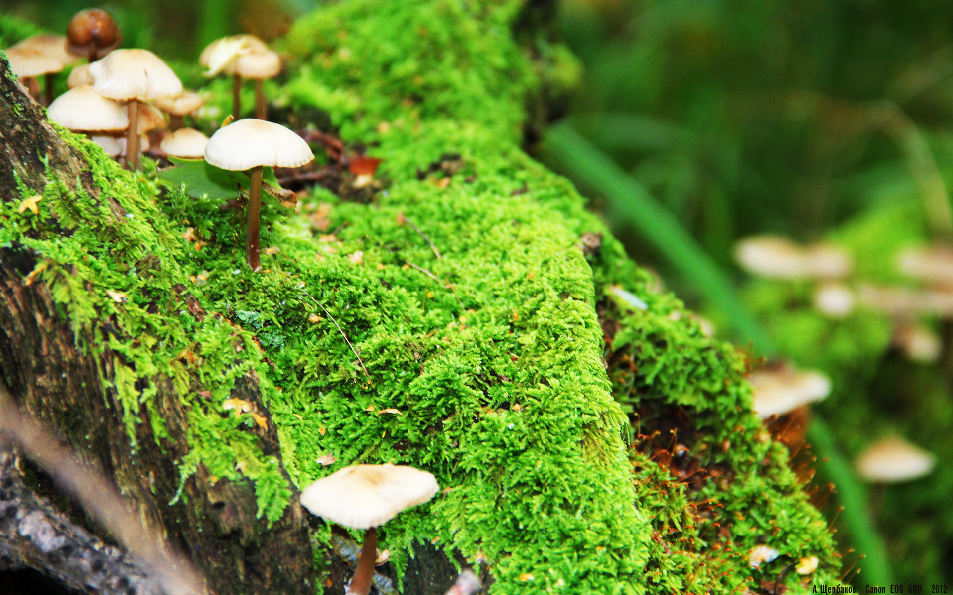 开云体育入口-夜之华章，若日尼奥在世界排名争夺战中点亮中场