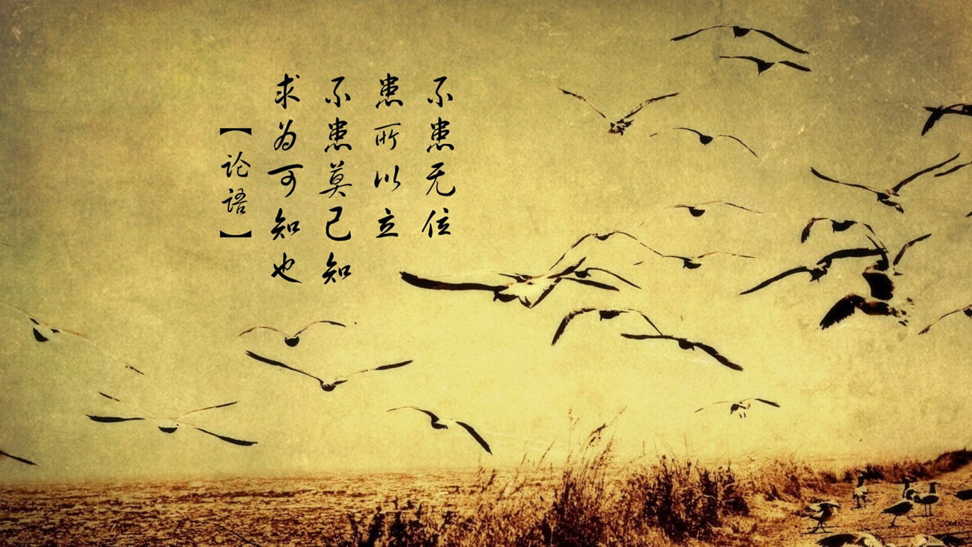 黑马奔腾！雷恩绝地逆袭，欧冠淘汰赛踏平银河战舰皇马