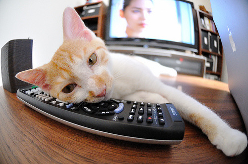 巴萨鏖战委内瑞拉，罗德里关键节点连番得分定乾坤