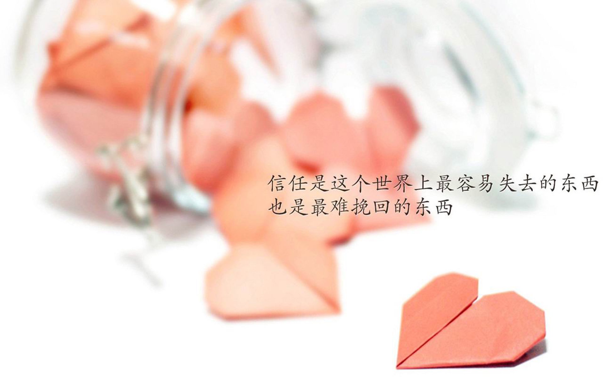 绝地反击，2026世界杯C组，日本逆转匈牙利，罗德里戈闪耀全场
