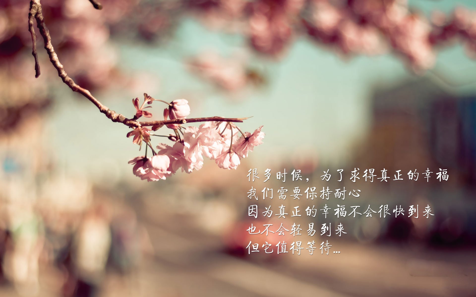 北欧雄狮击溃沙漠绿鹰,齐耶赫独造两球闪耀2026世界杯H组焦点战